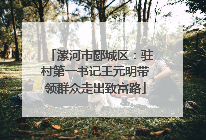 漯河市郾城区：驻村第一书记王元明带领群众走出致富路